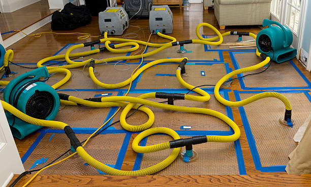 Professional Storm Water Damage Restoration technician working in Bainbridge, GA